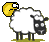 benou_mouton benou_mouton