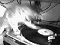 djcat djcat