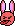 lapin_kaola lapin_kaola