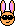 lapin_sol2 lapin_sol2