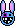 lapin_tinostar lapin_tinostar