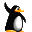pingouin01 pingouin01