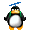 pingouin02 pingouin02